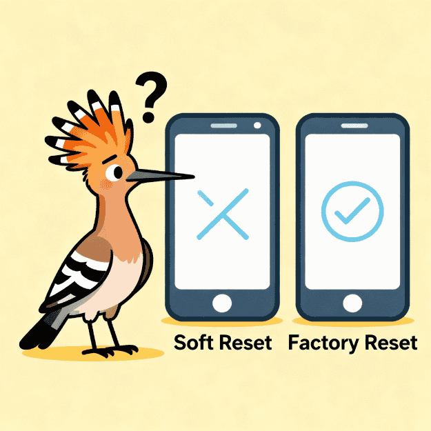 How to Reset iPhone
